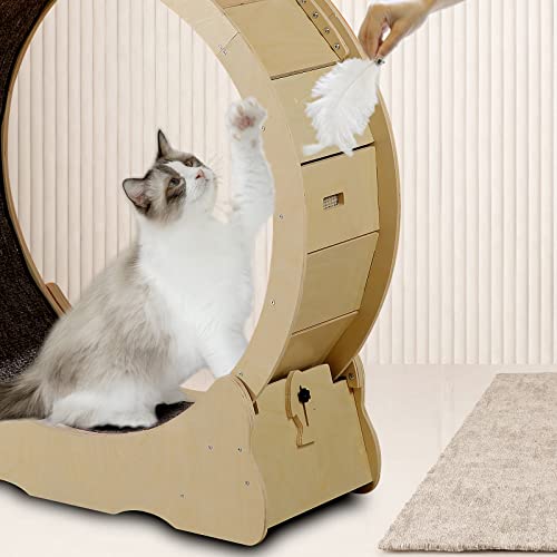 Aurgod Cat Exercise Wheel Indoor, Cat Treadmill With Locking Mechanism, Tpe Noiseless Roller, Cute Cat Running Wheel For Pet Loss Weight And Daily Exercise #TOP2