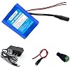 12V 2.2Ah Lithium Battery Pack Bare Leads Wire, 12Volt Lithium Battery 1A Charger for LED Strips, CCTV Cameras and DIY Projects