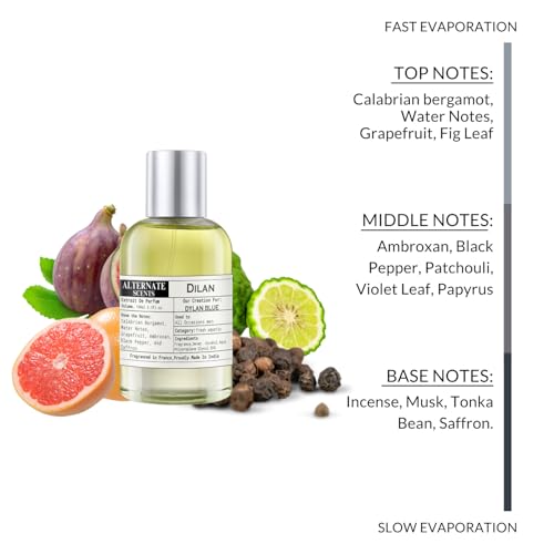 Image of Alternate Scents Dilan Long Lasting 100ml Perfume For Men |Strong& long Lasting with 30% Oil Concentration|Fresh & Masculine| Fragrance From France | Made In India|