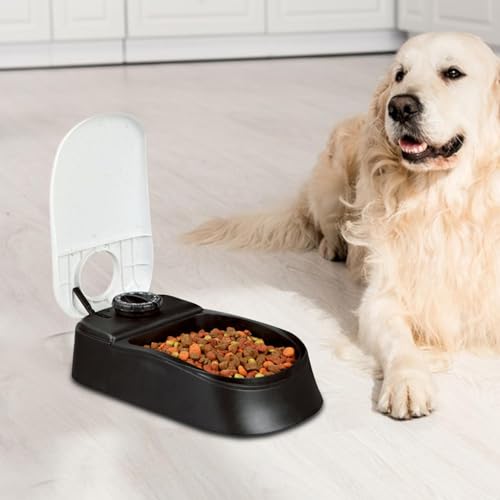 Cat food dispenser programable y comedero automático mascotas pequeñas de comida húmeda 3