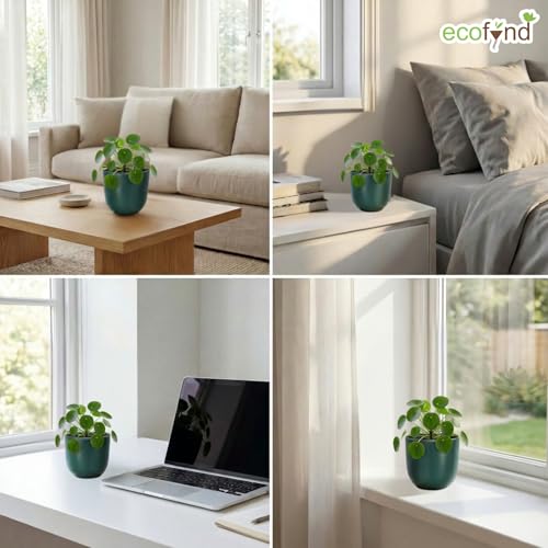 Image of ecofynd 5 Inch Ceramic Plant Pots with Drainage Hole, Modern Decorative Clay Flower Pots for Indoor Plants, Home Garden Decor for Living Room, Bedroom & Interior Spaces (CPOT041-DGN)