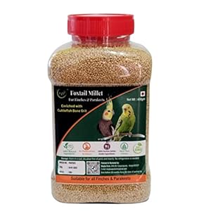 MaF® Foxtail Millet for Birds 450 Gram,Bird Feed Premium Foxtail Millet Enriched with Cuttlefish Bone Grits,Thina, Kangni Seed,Bird Food for Canaries, Finches, Budgies, Lovebirds,All Life Stages