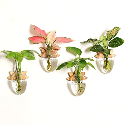 HUSSLEAN Wall Hanging Glass Terrariums Planter Mouse Shape Plant Propagation Station,for Hydroponics Home Garden Office Decoration,Plant Lover Gifts--4 Pack