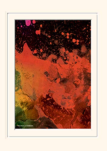 Radiohead (in Rainbows) -Mounted Print Memorabilia 30 x 40cm, Paper, Multicoloured, 30 x 40 x 1.3 cm