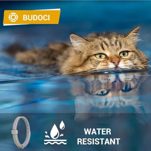 Coleira Anti Pulgas e Carrapatos Para Cães e Gatos | À Prova D’Água, 8 Meses de Proteção, Não Alérgi