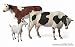 Master Box Domestic Animals (2 Cows and 1 Goat) Figure Model Building Kits (1:35 Scale)