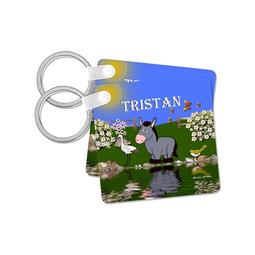 3dRose, Decorative donkey and bird art design for children - personalized with the name Tristan, set of 4 Key Chains