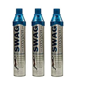(3 Pack) Recreation Oxygen Can for ...