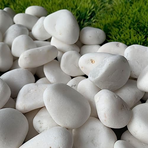 TAIKOH 高級白玉石 白仙華 1寸 25-36mm 化粧砂利 ホワイト 白 水磨き 玉石 中 (白仙華1寸(25~36mm), 400kg)