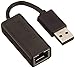 Produktbild RaidSonic ICY Box USB 2.0 zu Ethernet Adapter