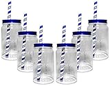  6 x Absolut Glas Gläser Jar Strohhalm Acryl mit Deckel Gastro Bar Deko NEU