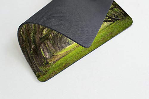 Smooffly Gaming Mouse Pad Custom,Oaks Avenue Charleston SC Plantation Live Oak Trees Landscape Mousepad Non-Slip Rubber Rectangle Mouse Pads for Computers Laptop