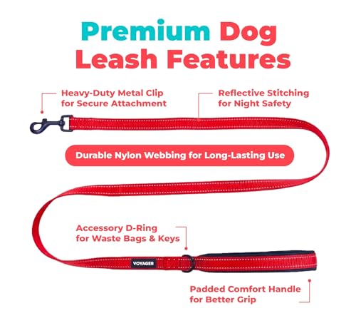 Image of Best Pet Supplies Voyager Reflective Dog Leash or Collar with Neoprene Handle, for Small, Medium, and Large Breed Puppies, Cute and Heavy Duty for Walking, Running and Training - Red (Leash), L