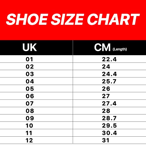 Li-Ning Energy 10 Non-Marking Cushion Badminton Shoe #TOP4