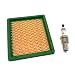 Luftfilter mit Zündkerze für Scheppach MS173-51E, MS196-51, MS196-51E / Woodster TT173-51E Rasenmäher