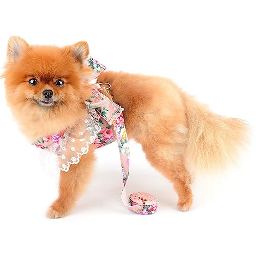 SMALLLEE_LUCKY_STORE Arnês de princesa floral animal de estimação vestido e guia para cães pequenos