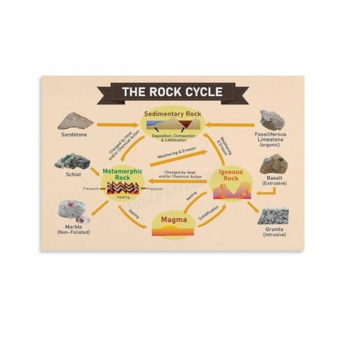 Rock Cycle Poster Science Wall Art for Home Classroom Decor