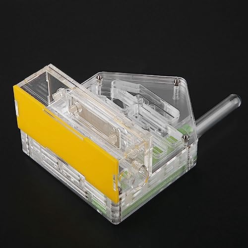 Formicarium educativo de acrílico: el regalo científico ideal para niños curiosos 4