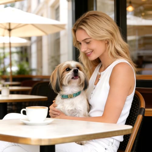 Image of Didog Soft PU Leather Dog Collar for Small Dogs, Quick Release, Green S