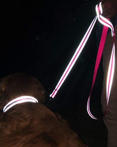 image for Joytale Dog Leash, 6 FT Double-Sided Reflective, Padded Handle Nylon H