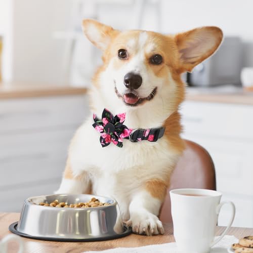 BiPawTi Flower Dog Collar, Soft Small Dog Collar Girl with Floral Patterns Decoration, Cute Collars for Female Dogs Puppy, Summer Dog Collars for Small Dogs Boy Girl Female Male (Black, S) BiPawTi Flower Dog Collar, Soft Small Dog Collar Girl with Floral Patterns Decoration, Cute Collars for Female Dogs Puppy, Summer Dog Collars for Small Dogs Boy Girl Female Male (Black, S)