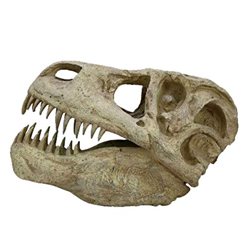Kh66Zky Tyrannosaurus Rex Skull Model - Dinosaur Skull Replica - Cretaceous Fossil Specimen For Animal Collector Decor Model Toy Sculpture Home Desktop Decor #TOP7
