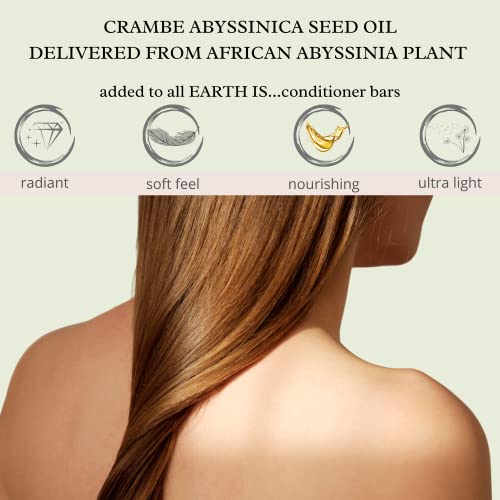 Earth Is...conditioner Bar - All Hair Types – All-Natural Hydrating Hair Conditioner – Eco-Friendly Hair Moisturizer – Plastic Free - Ph-Balanced – Vegan – Concentrated – Biodegradable – Zero Waste, 3.2Oz #TOP4