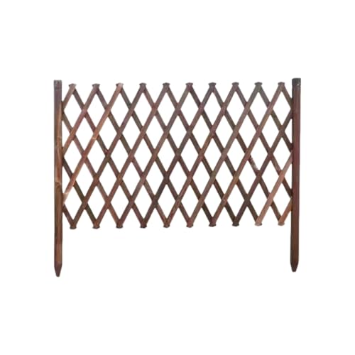 VolleboؐtF X OK[ftFXLkؐ eBX AR[fBI J[Q[g ybgtF X  y (90cm,uE݃^Cv) [sAi]