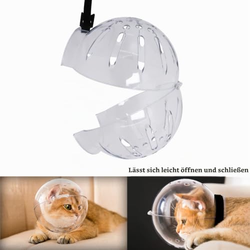 Hoqqf Transparenter Katzenmaulkorb mit atmungsaktiver Haube, Verstellbarer Astronautenhelm, verhindert Beißen, Kauen und Fellpflege von Haustieren, ballförmige Maske für Aggressive Katzen, Größe XL
