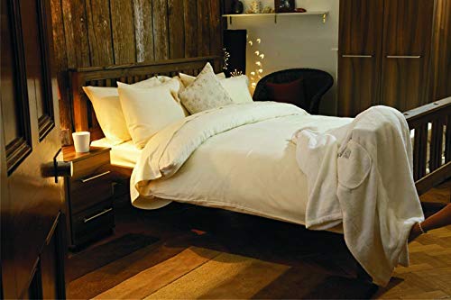 Supersoft Plain Dyed Flannelette Fitted Sheet By Belledorm