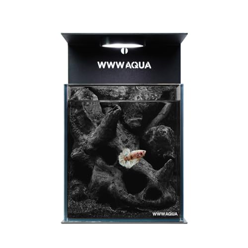  tB^[ |v _J Cg Zbg RpNg x^ B ANAE KX ^ XtB^[ Mы   