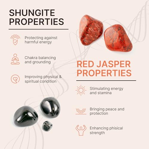 Karelian Heritage Shungite & Red Jasper Empath Crystal Healing Beaded Bracelet for Women and Men | 8 mm Handmade Unisex Authentic Shungite Stone Protection Jewelry BO394