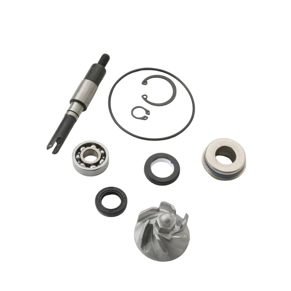 Pompa Acqua Gruppo Pompa Per HONDA Chiocciola Dylan SES FES | 125i Pantheon NES SH Scoopy 100110190 KGFKit di riparazione pompa acqua
