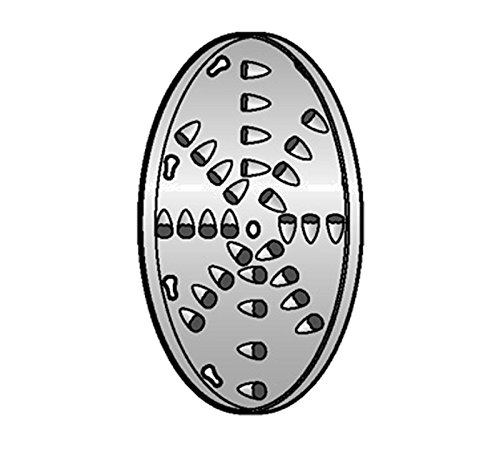 Alfa VS-12GD Grating Disc