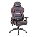 Newskill Silla Gaming Profesional Valkyr, Asiento Microperforado PU Transpirable, Reclinable 180º, Reposabrazos 4D y Altura Regulables, Carga Máxima 150Kg, Cojín Lumbar y Cervical, Rojo