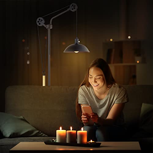 Leezm Dimmable Industrial Floor Lamp For Living Room,Rustic Farmhouse Floor Lamps With Pulley System, Modern Reading Pole Task Lamp, Vintage Arched Tall Standing Lamp For Bedroom Office, Deep Bronze #TOP6