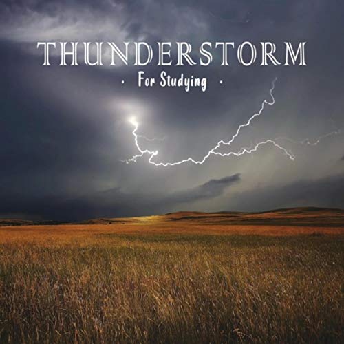 Thunderstorm Global Project