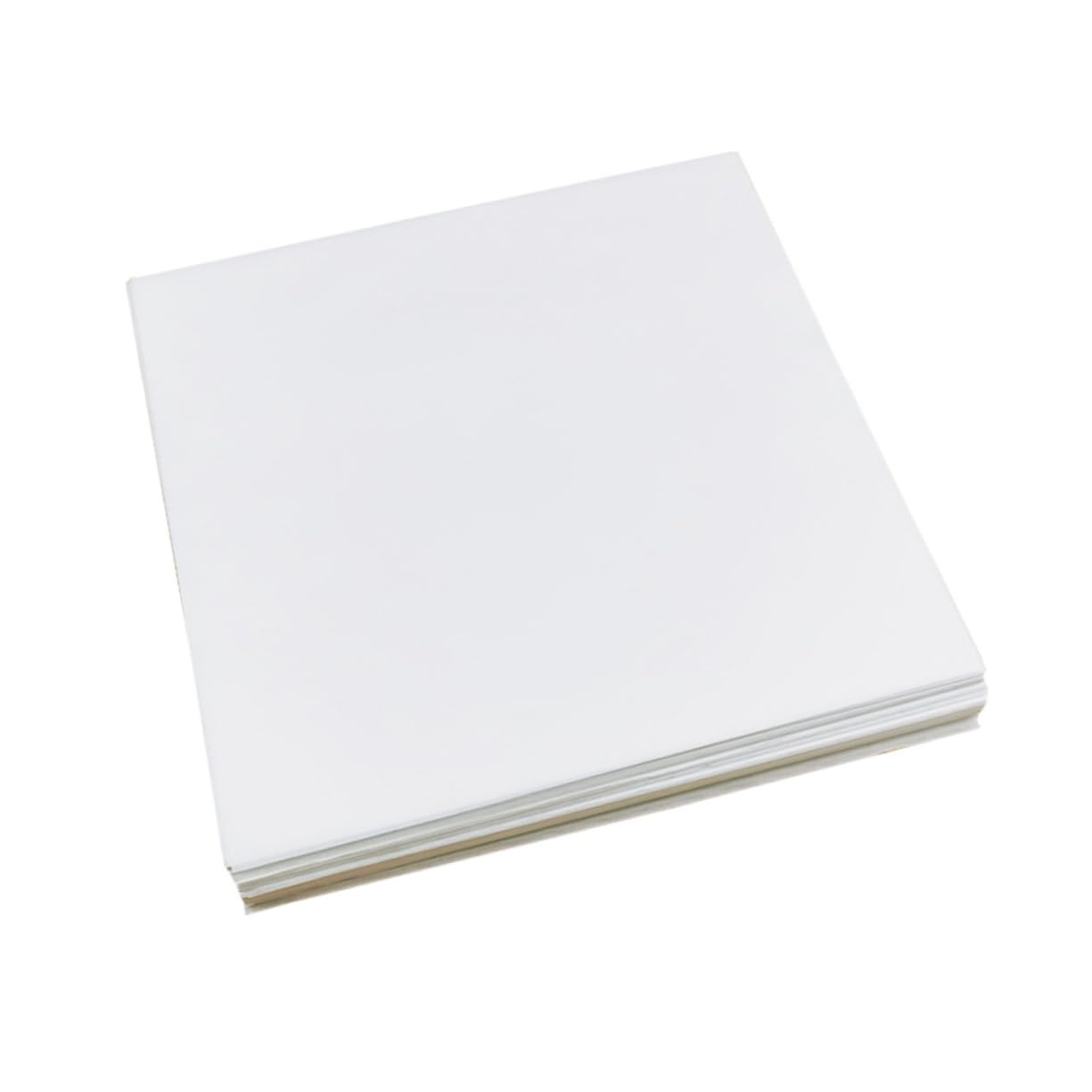 BRIGHTFUFU 500Pcs Non Stick Greaseproof Oil Absorbing Papers for Snacks Kitchen Baking Mats for Fried Food Pizza and Desserts Odorless and Safe for Cooking