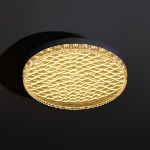 TUOKJSA E26 to E26 Screw in LED Ceiling Light Fixture that Screws into Socket 12 Inch Ceiling Lamp with Memory Function for Basement Garage Shop 3 Color Changing White Light 48W (Warm/White/Daylight)