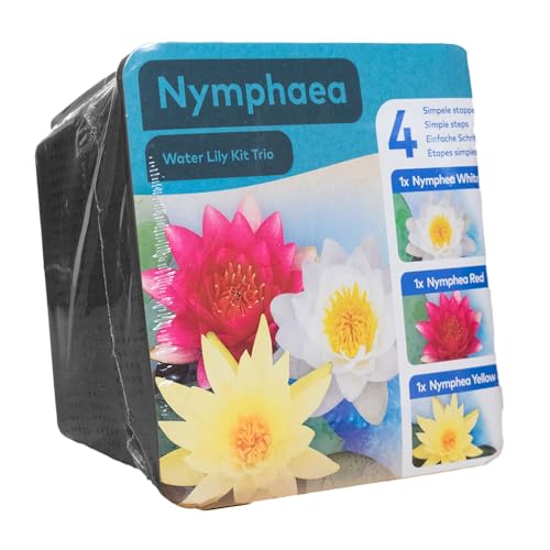 Moerings White, Pink, Yellow Water Lily Pond Plant Trio Kit - Complete Kit for Easy Pond Setup