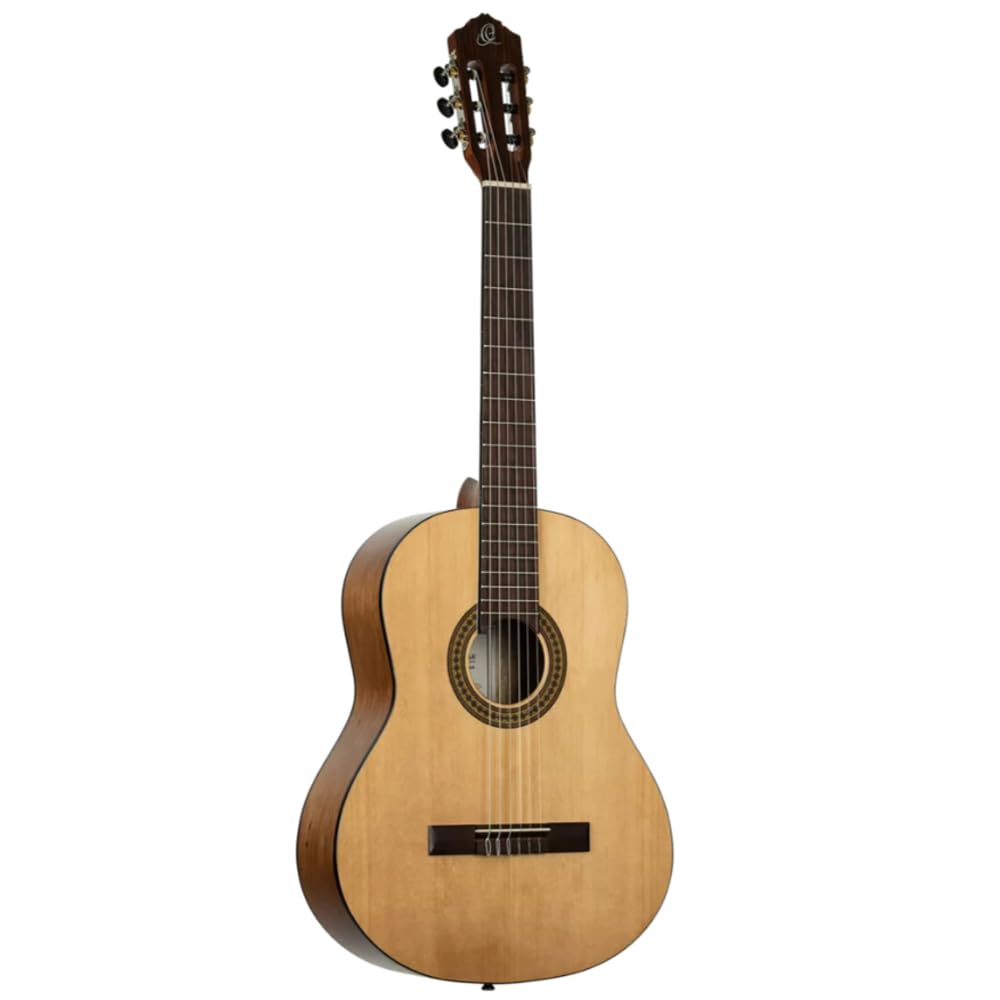 Amazon.com: Ortega Guitars RPPC44 Picker's Pack Student Series