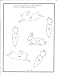 Arabic Letters Activity Book