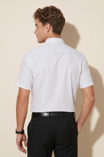 Image of Peter England Men's Formal Half Sleeve Shirt