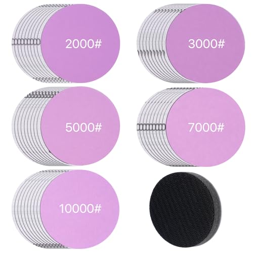100 Pcs Sanding Discs Grits 2000-10000 Assortment
