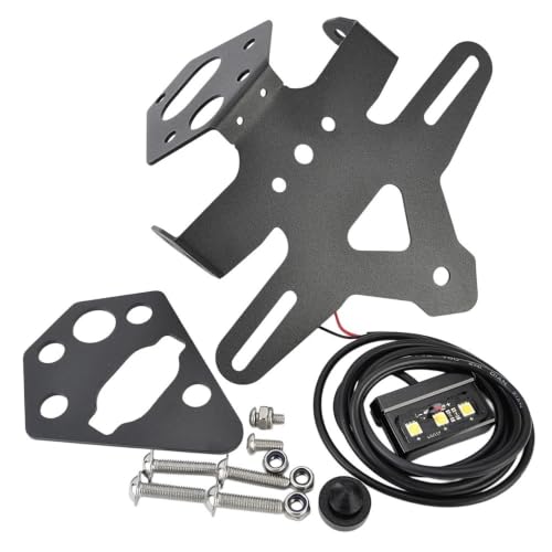 Support plaque d'immatriculation moto anti-casse pour Street Triple 765R 765RS 2020-2025