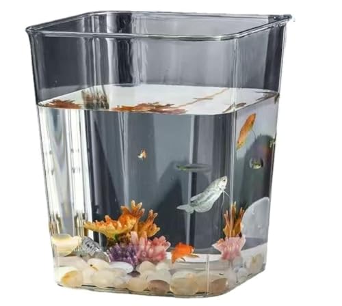 ƒph^Ԍn ^^㐅i rOoRj[h~ EEt[AWgpi (C)