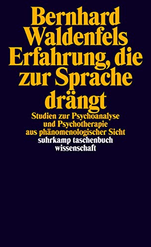 Erfahrung, die zur Sprache drängt: Studien zur