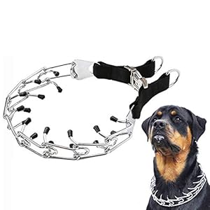 Verstelbare Prong Dog Training Collar Met Comfort Tips Choke Pinch Collar Training Control Strap, Voor Medium Grote Honden Duitse Herder Pitbull
