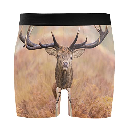 Bóxer para hombre Vnurnrn con pintura de ciervo, pack de 2 calzoncillos elásticos