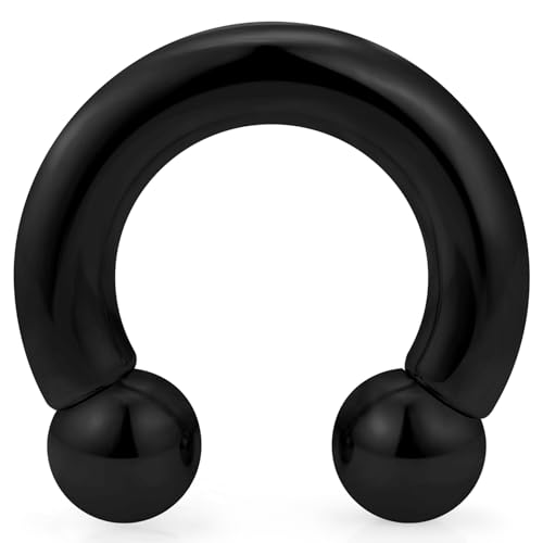 Yaalozei 2G Black Spetum Rings Ear Gauges Earring Hoop Plug Tunnel Streching Kit 2 Gauge Earring Surgical Stainless Steel Horseshoe Prince Albert Septum Nose PA Ring Piercing Jewelry Women Men 19mm